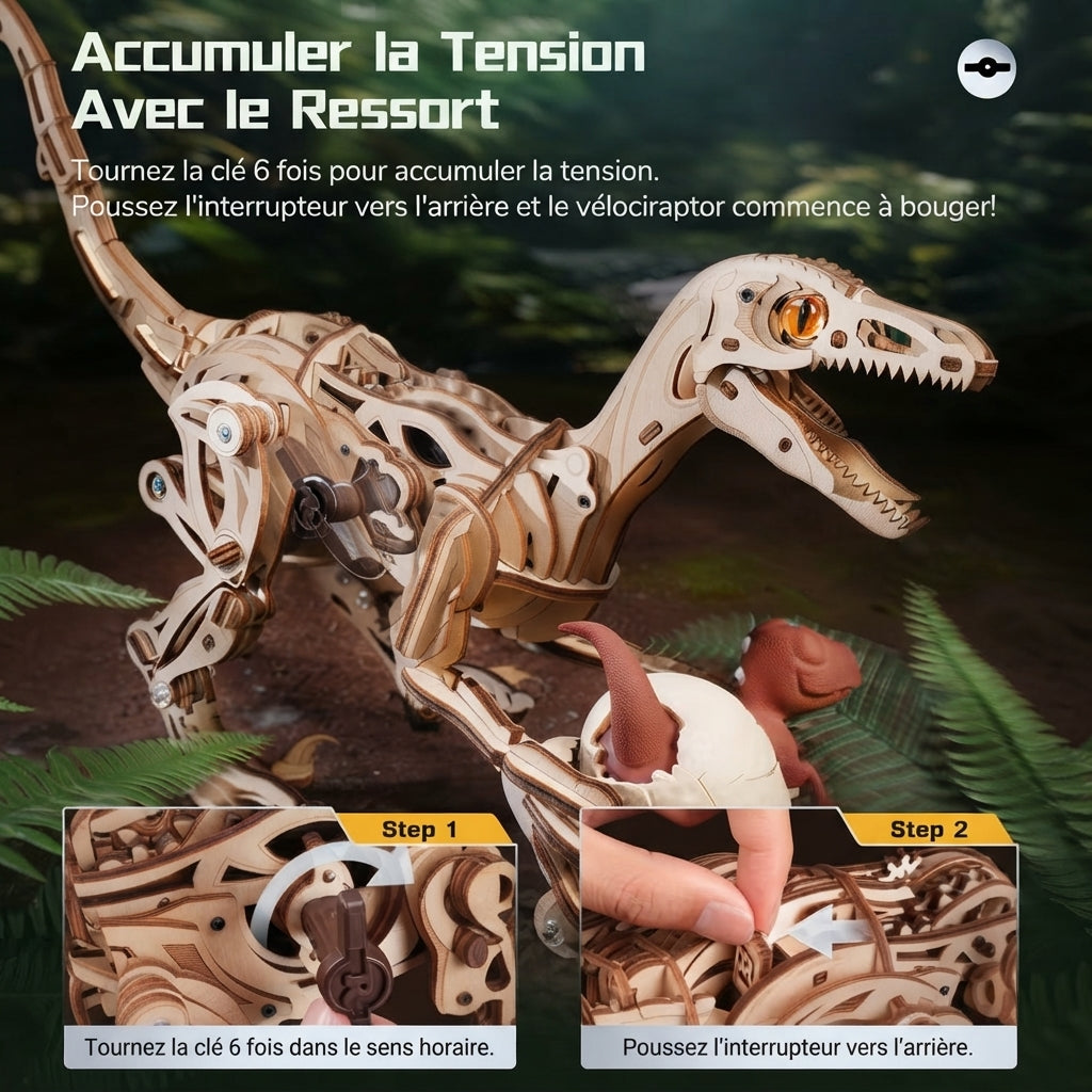 Vélociraptor Mécanique à Remonter à Construire