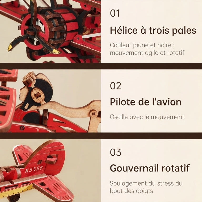 Aviateur Rétro à Bascule à Construire