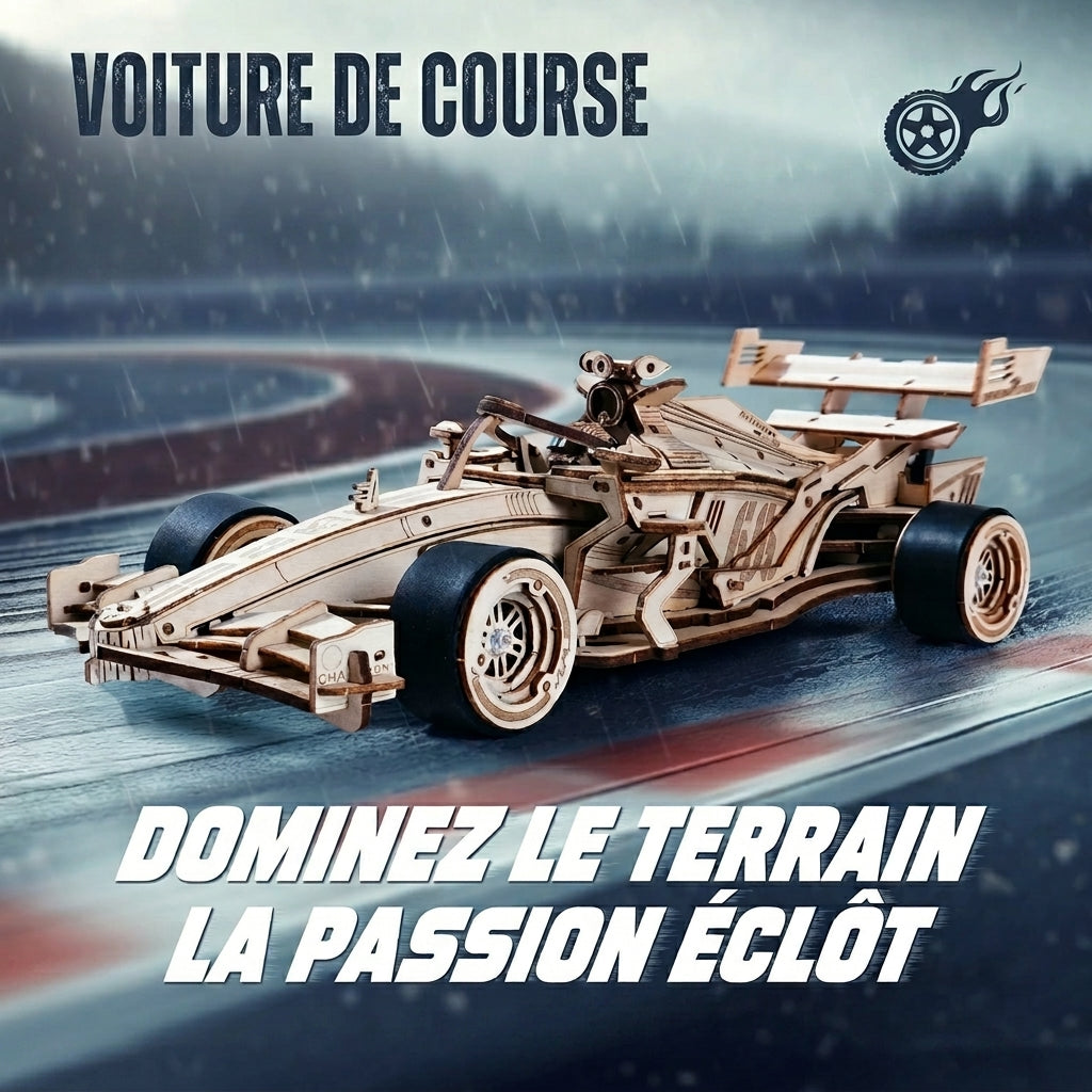 Voiture de Course Mécanique à Construire