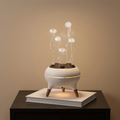 Humidificateur méduse ultrasonique
